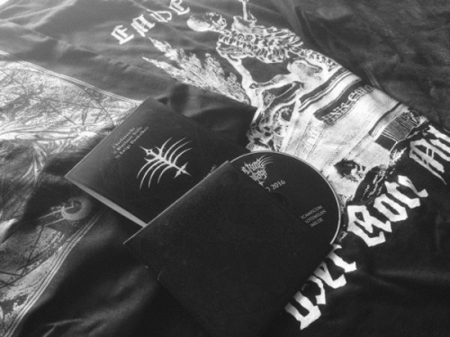 Der Rote Milan : Promo 2016